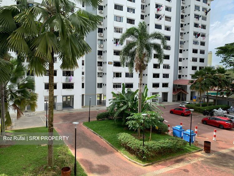 Blk 166 Stirling Road (Queenstown), HDB 3 Rooms #274027401